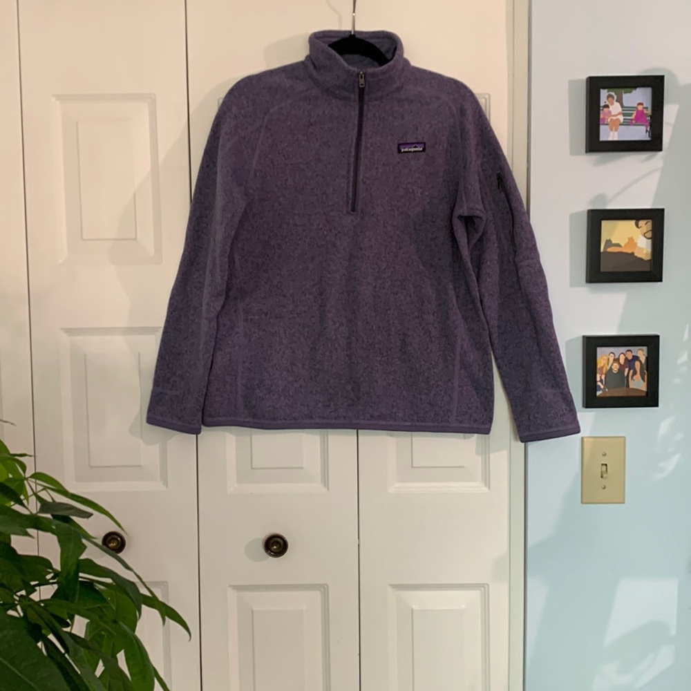 Patagonia Better Sweater